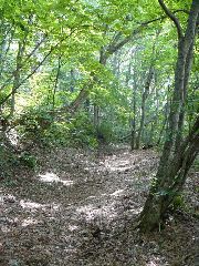 ��Ð��X���i����X���j