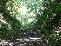 ������Ð��i����h�j