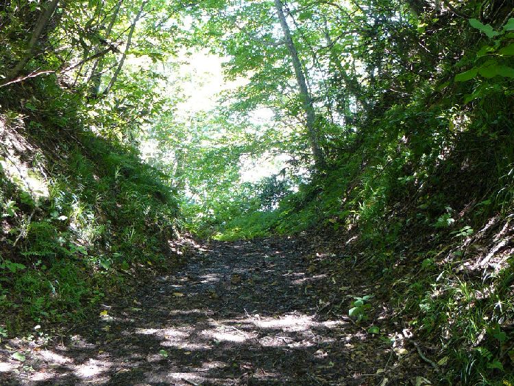 ����h�E������Ð��