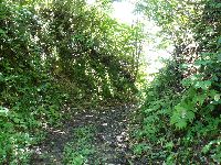 ������Ð��i����h�j