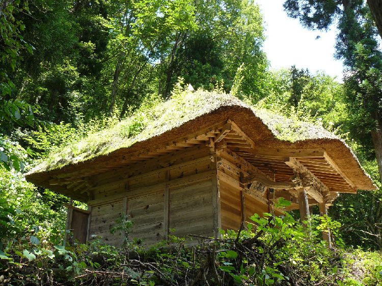 ����h�E�q���ω���