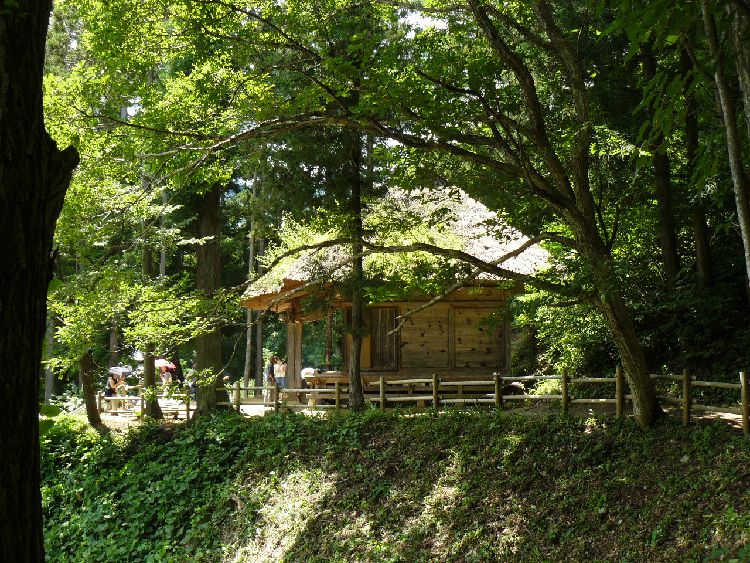 ����h�E�q���ω���