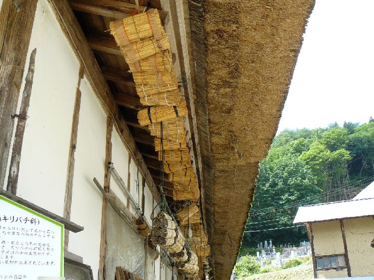 ����h�E�����ƏZ��i���Z���j