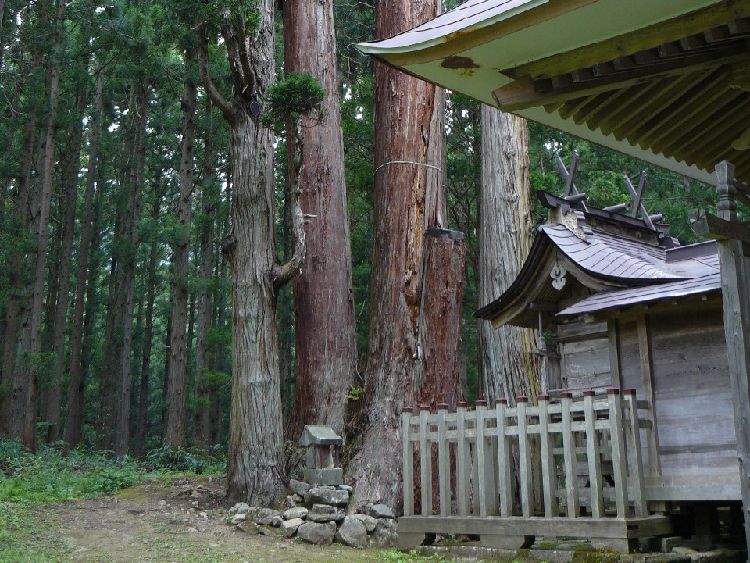 ���q�_�Ђ̑吙