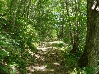 ����X���i����h�j