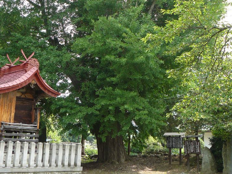 ���i�h�i�����_�ЁE���ǁj