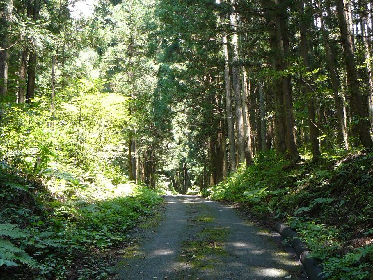 �茴�h�i��Ð��X���E�������j