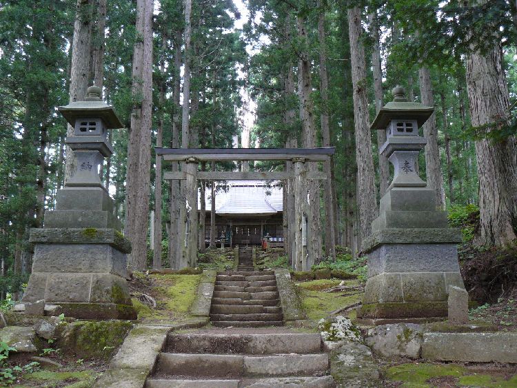 ����h�E���q�_��