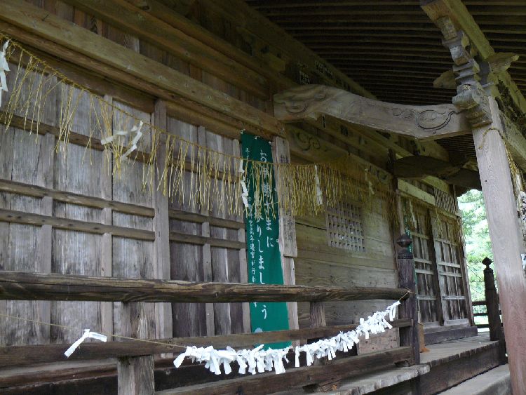 ����h�E���q�_��