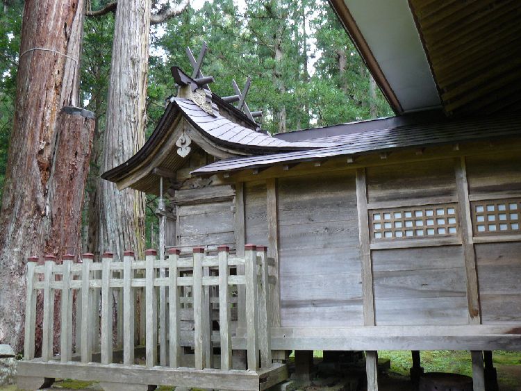 ����h�E���q�_��