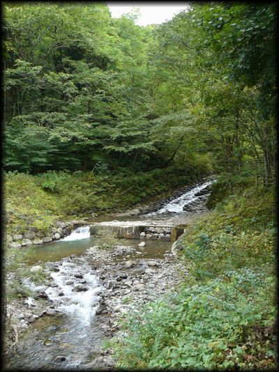 �y�����i�i�G��̐����j