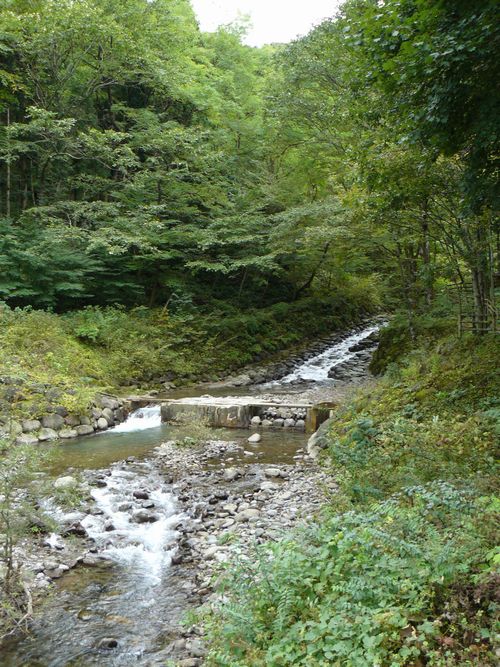 �y�����i�i�G��̐����j