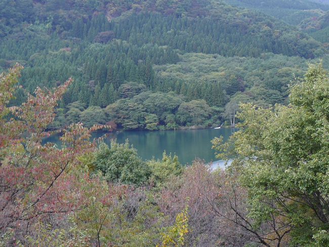 �y�����i�i�����̋A���j