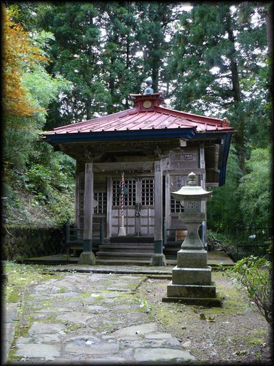 ��t��������