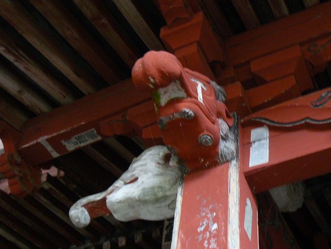 �������q��