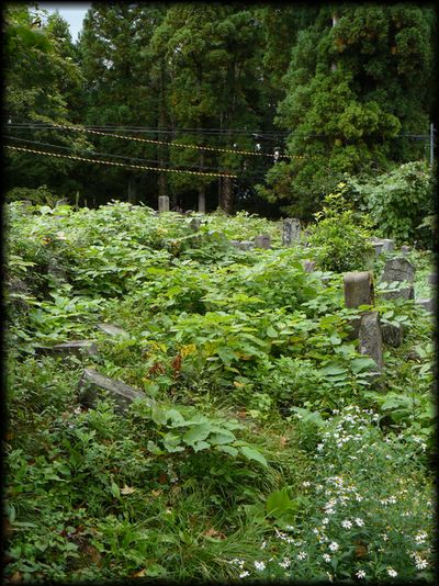 �n�ӎ��E�q��̕�