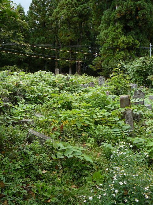 �n�ӎ��E�q��̕�